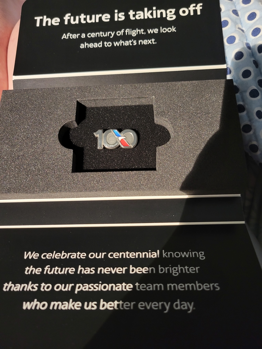 Centennial 100 Commemorative Pin - Silver with Blue & Red Accents